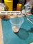 Flightless Fruit Fly Culture - one cup Carousel 5