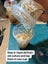 Flightless Fruit Fly Culture - one cup Carousel 9