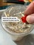Flightless Fruit Fly Culture - one cup Carousel 12