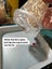 Flightless Fruit Fly Culture - one cup Carousel 13