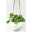 Urban Avery 14cm Ceramic Dot Round Hanging Planter Flower Plant Pot Medium Blue Carousel 3