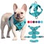 Durable Multi-color Dog Harness Nylon Reflective Dog Traction Harness Carousel 2