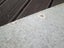 Ridge cap short piece, galvanised, good for repair or other project Carousel 6