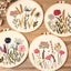 Embroidery Starter Kit DIY Cross Stitch Kits 4 pcs Carousel 4