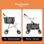 Pawz Pet Stroller 2-Tier Pram Dog Cat Carrier Foldable Large 4 Wheels Shopping Carousel 3