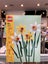 LEGO Botanical Collection 40747 Daffodils Carousel 1