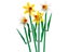 LEGO Botanical Collection 40747 Daffodils Carousel 4
