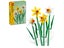 LEGO Botanical Collection 40747 Daffodils Carousel 5
