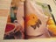 "Craft & Decorating" Magazine with 25 Projects Carousel 15