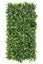 Articifial Foliage - Lush Green Leaf Wall Panel Carousel 1