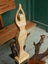 Candella - A Hand Carved Female Form Carousel 8