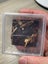 isopods (Reclined Pill Woodlouse) x 15 Carousel 13