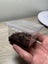 isopods (Reclined Pill Woodlouse) x 15 Carousel 14