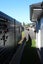 ALUMINIUM SLATS FOR FENCING / PRIVACY SCREENS FENCE INFILLS... Carousel 4