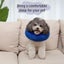Dog Inflatable Collar i2538DB1 Carousel 8