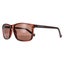 Calvin Klein Sunglasses CK19568S 210 Crystal Brown Brown Carousel 2