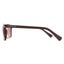 Calvin Klein Sunglasses CK19568S 210 Crystal Brown Brown Carousel 3
