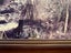 LARGE FRAMED PHOTO BY HADDEN F LOWREY Carousel 5