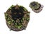 Black Cat - Trinket Box Carousel 1