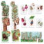 Headu Flashcards My First Nature Montessori Carousel 2