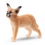 Schleich Caracal Baby Carousel 1