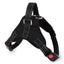 Dog Harness New Carousel 6