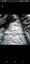 31 x thick puffer jackets Carousel 2