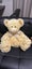Stuffed Bear Carousel 1