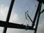 Fairway Glasshouse 8x8ft Double Door Carousel 9