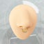 6pc Nose Ring Earring Carousel 6