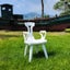 Outdoor Chair / Indoor Arm Chair Carousel 3