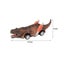 6 Pack Pull Back Dinosaur Toys Race Car Set Carousel 6
