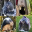 Cat Bag Breathable Transparent Carousel 3