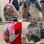 Cat Bag Breathable Transparent Carousel 4