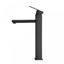 Tall Basin Mixer Tap Carousel 3