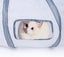 PTN NEW Cat Tunnel Sale - Sale Sale Carousel 7
