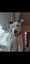 Rescue Puppy Pepper Carousel 8
