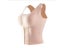 Women Reductive Corset Tops Sheath Body Shapers Tummy Control Carousel 1