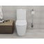 Toilet Suite Carousel 6