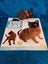 1book & free toy, Cat Collection, Burmese, cat, kitten. Carousel 1