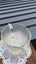 `" Vintage Crystal Jug "~ Carousel 12