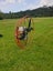 Tandem Trike Paramotor Carousel 4