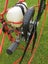 Tandem Trike Paramotor Carousel 5
