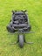 Tandem Trike Paramotor Carousel 9