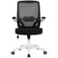 Computer Chair Carousel 3