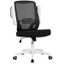 Computer Chair Carousel 6