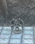 Imp Quasit Set of 8 Monster Miniatures Dungeons and Dragons Dice4Dungeons Schlos Carousel 3