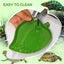 Reptile Food Water Bowl Leaf 2pc combo Carousel 5