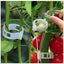 100 PCS Plant Support Clips New Carousel 3