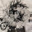 Outdoor Solar Flower String Lights 10m LED Purple (SKU D3) Carousel 3